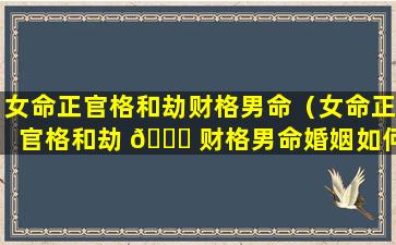 女命正官格和劫财格男命（女命正官格和劫 🐕 财格男命婚姻如何）